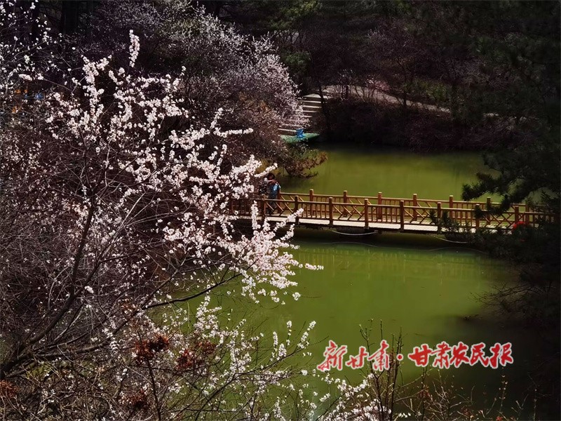 芙蓉潭桃花.jpg