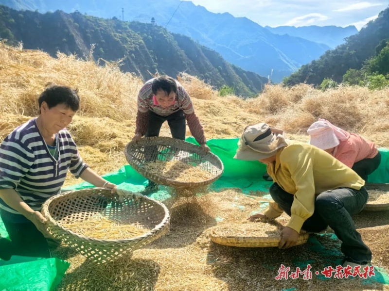 微信图片_20250509151624.jpg