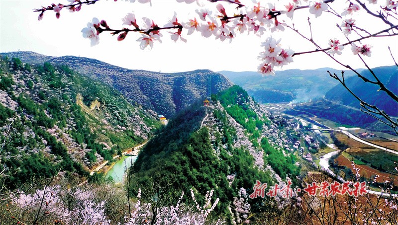 美丽的米家沟生态园 .jpg