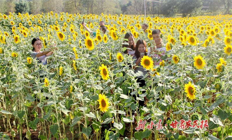 华亭：一座资源型城市的生态答卷 (8).jpg