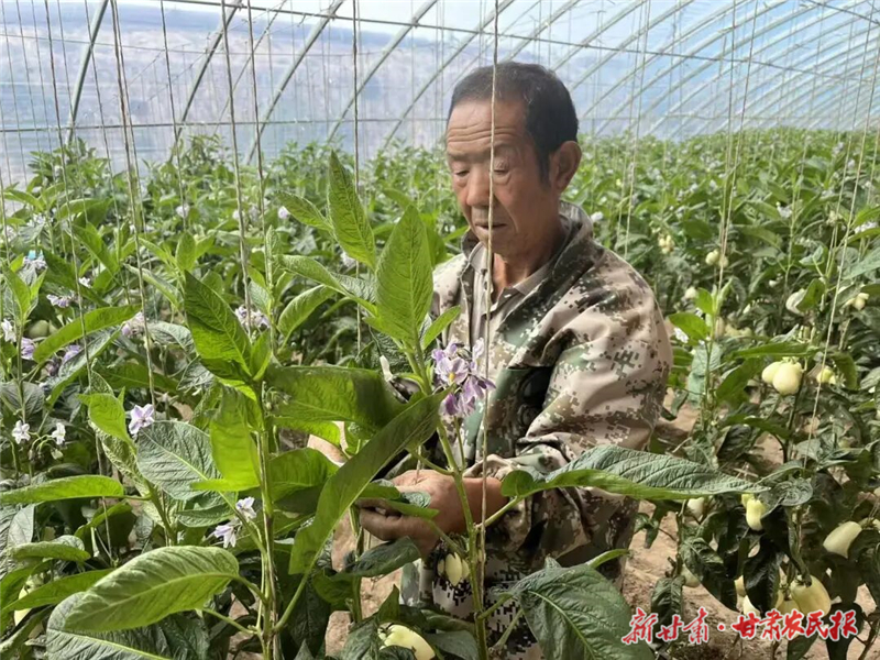 李天河2