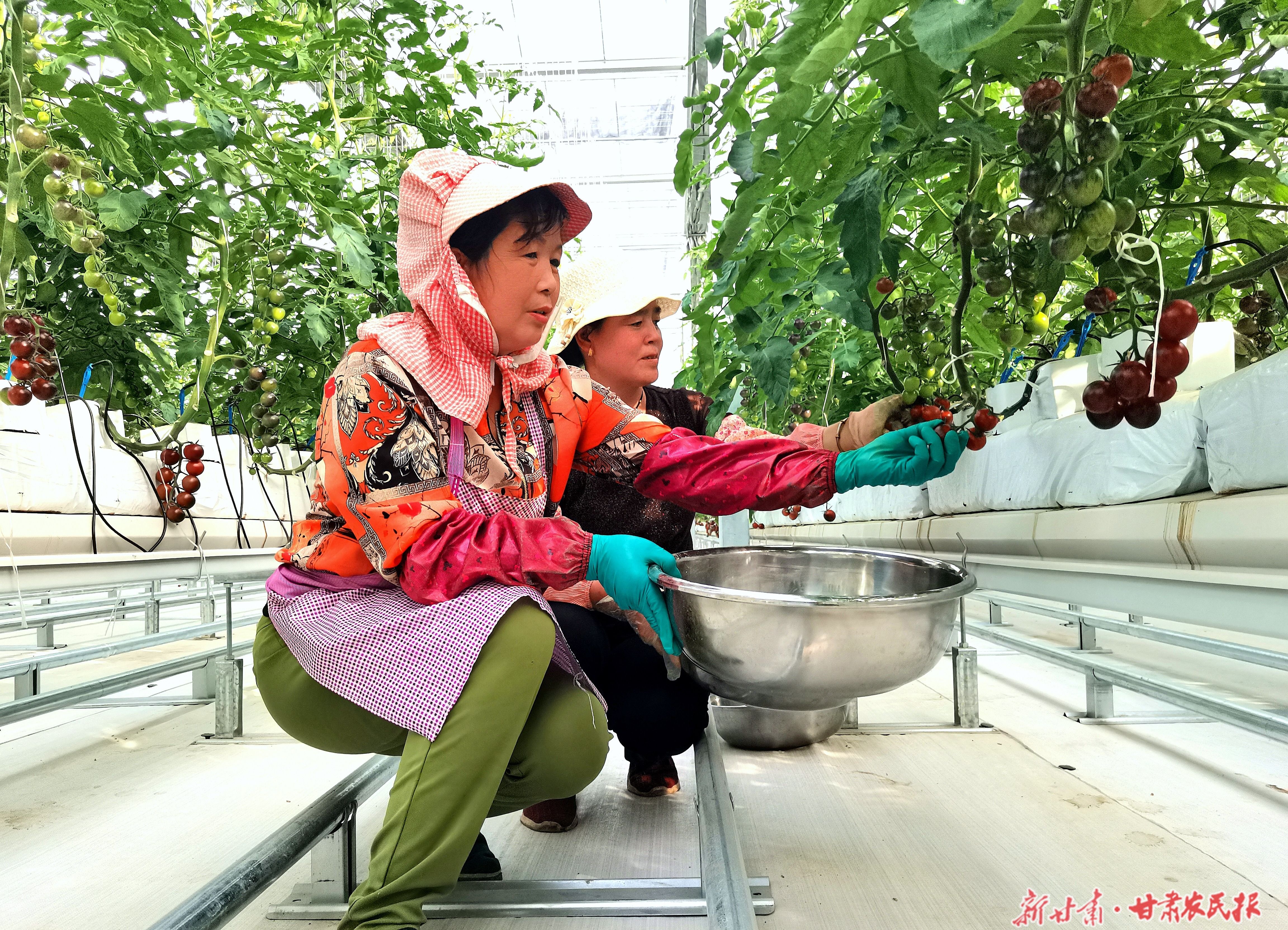 微信图片_20251022093237_197_83