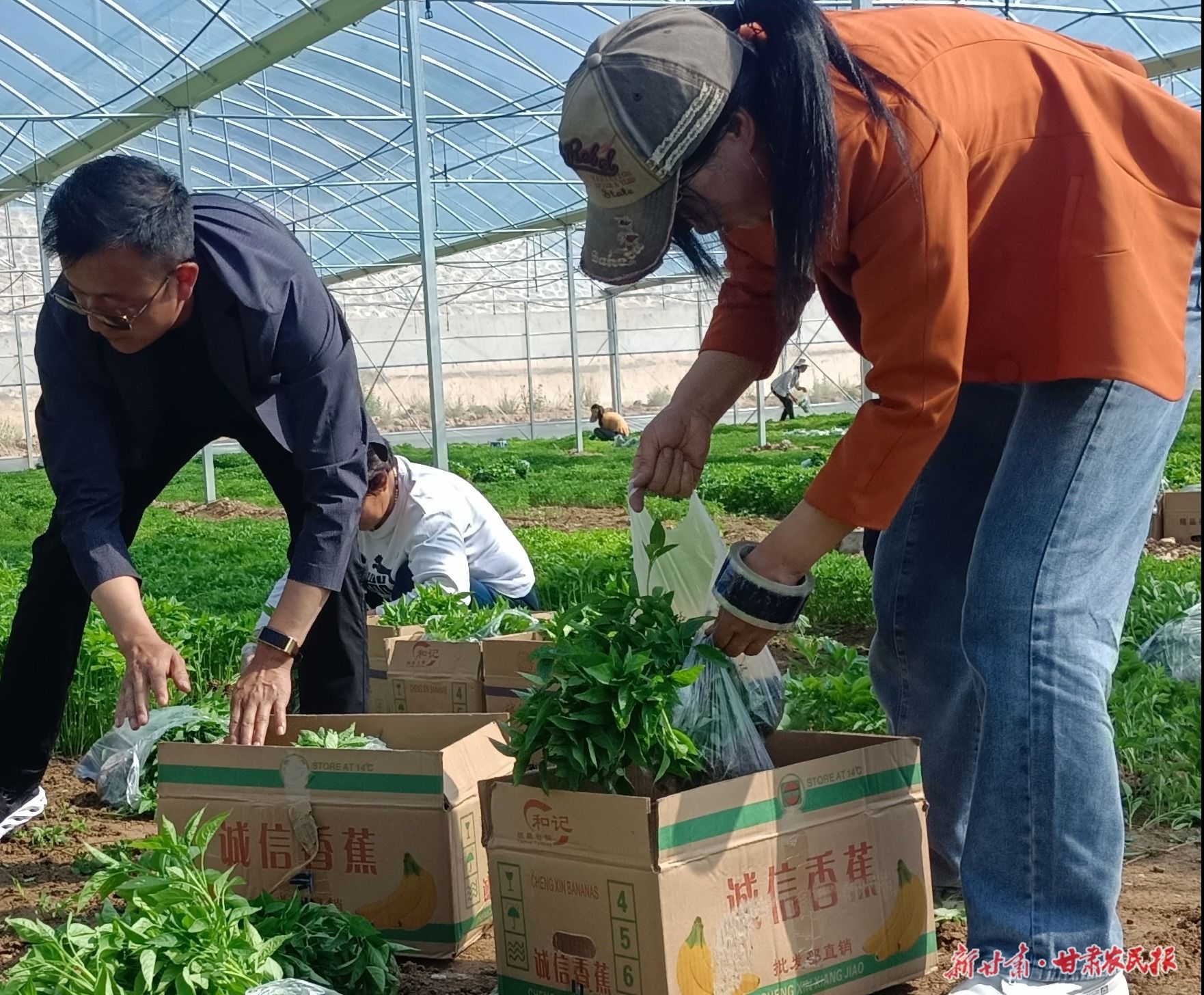 微信图片_20251022093141_196_83