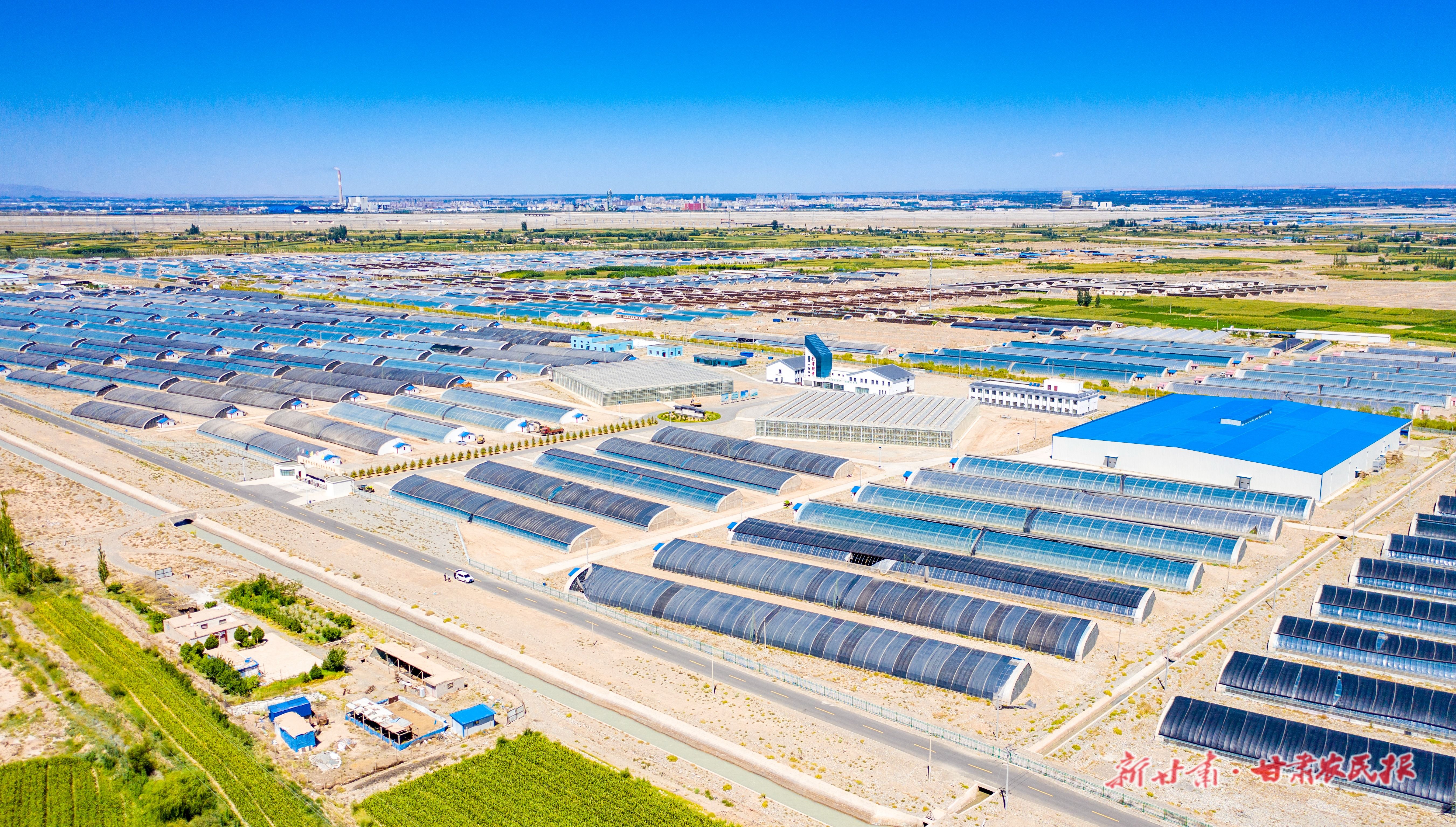 中以(酒泉)绿色生态产业园 (4) 中以(酒泉)绿色生态产业园 (4)