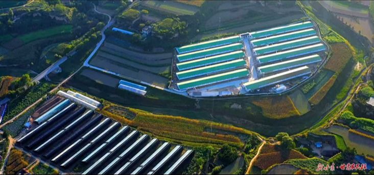 微信图片_20251023165542_243_83