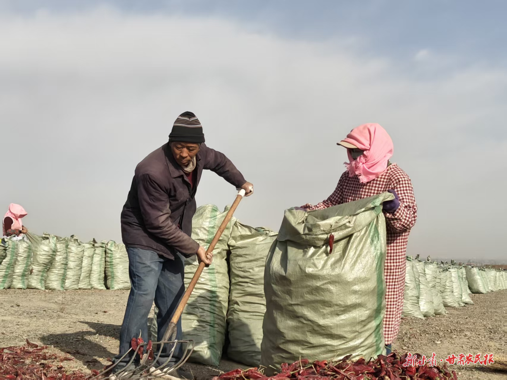 微信图片_20251031013931_174_8