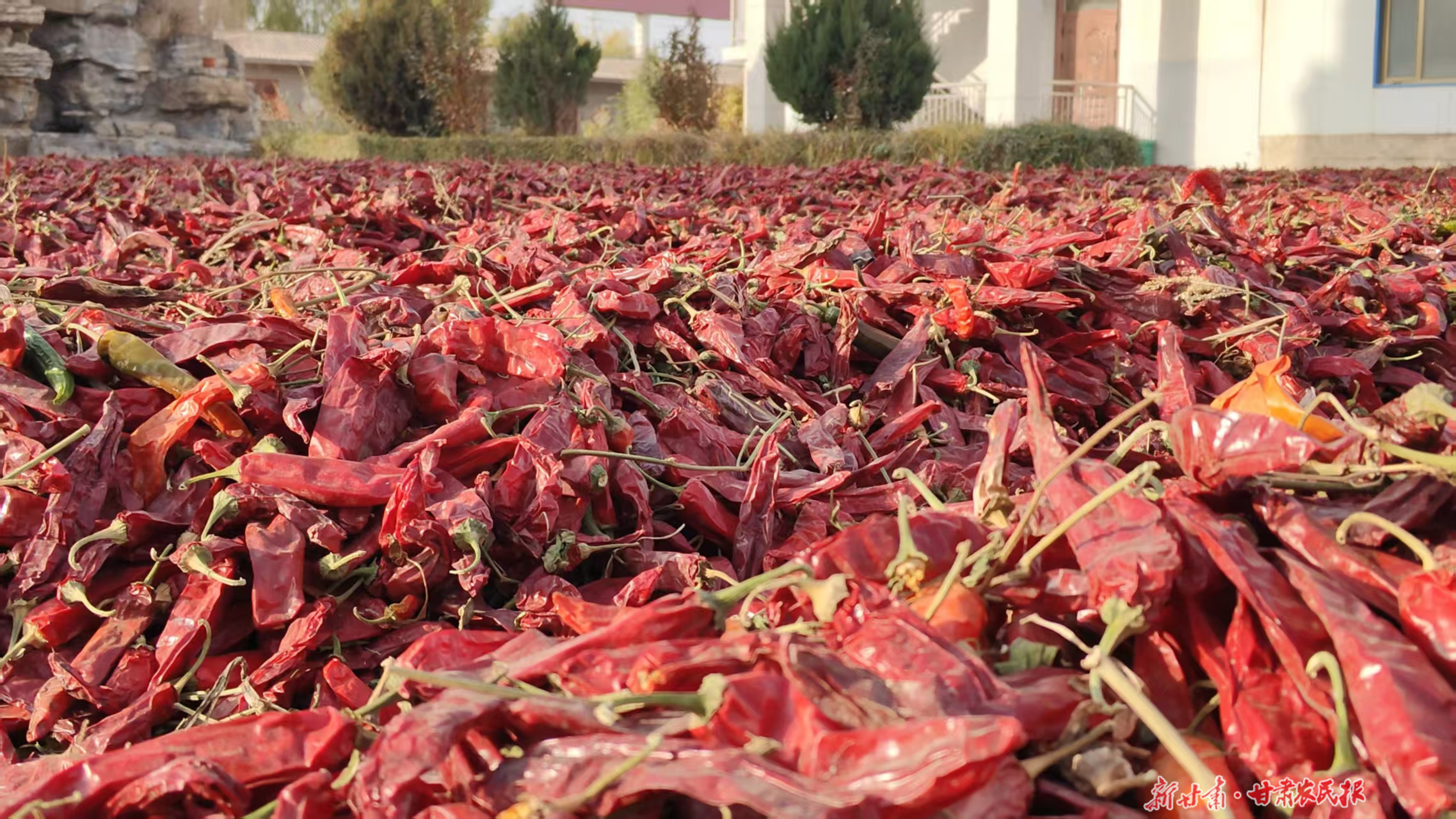 微信图片_20251031183022_186_8