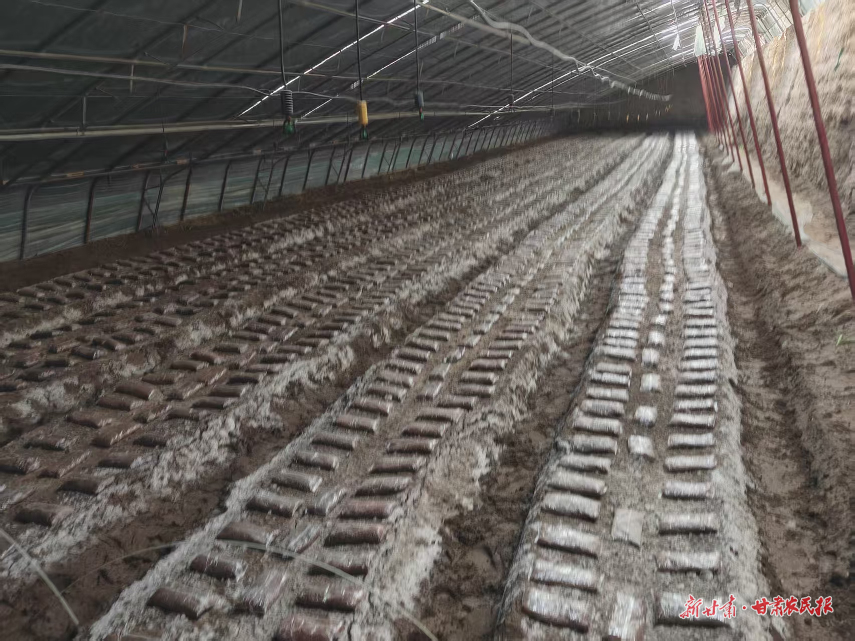 微信图片_20251031013836_164_8