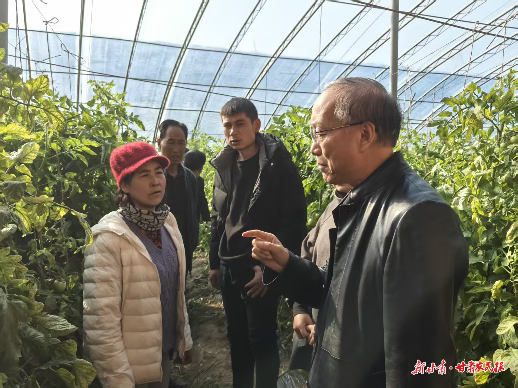 微信图片_20251031013928_171_8