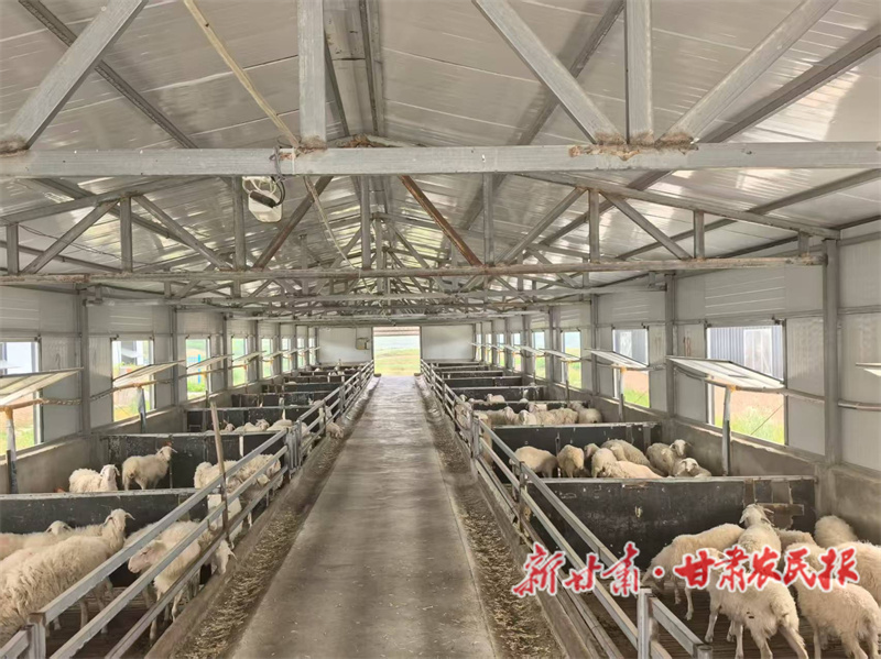 1762178706213530.jpg 1762147102446026496.jpg