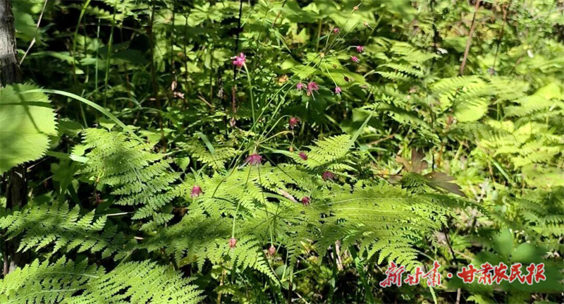 a10f09cca1b09e629494224bd7102614