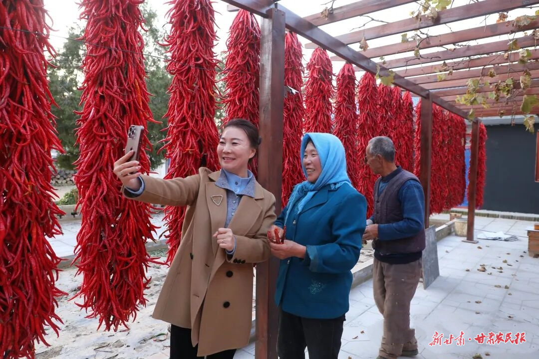 微信图片_20251119225539_239_8