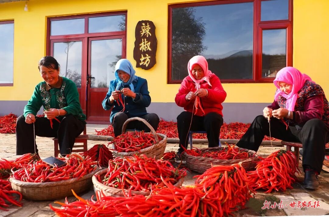 微信图片_20251119230048_240_8