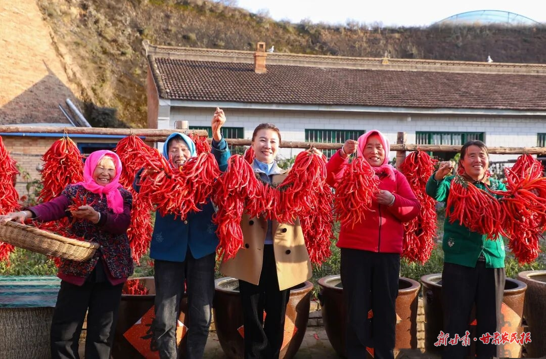 微信图片_20251119225538_238_8