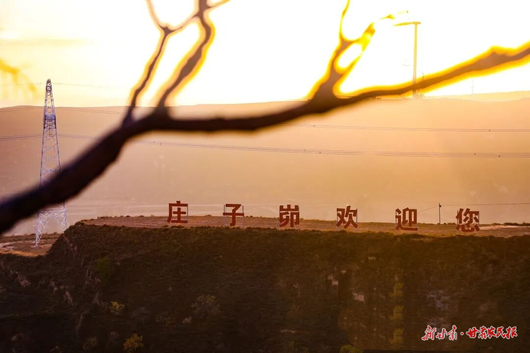 微信图片_20251119225534_235_8