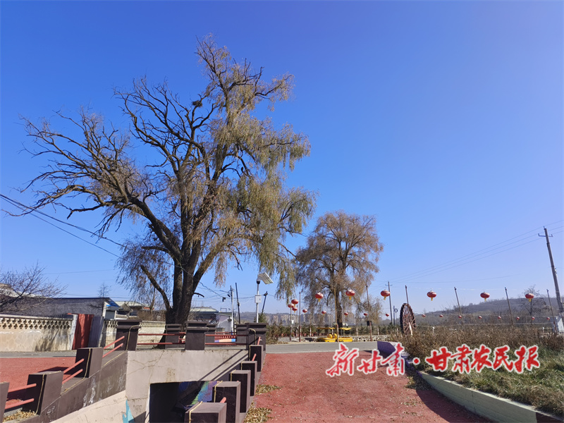 1764752203308701.jpg 1764736472452074372.jpg