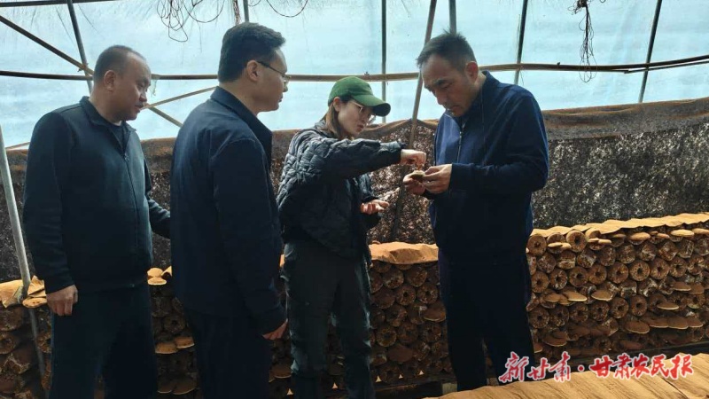 党组织+人才+产业1 (4)