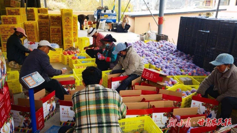 党组织+人才+产业1 (8)