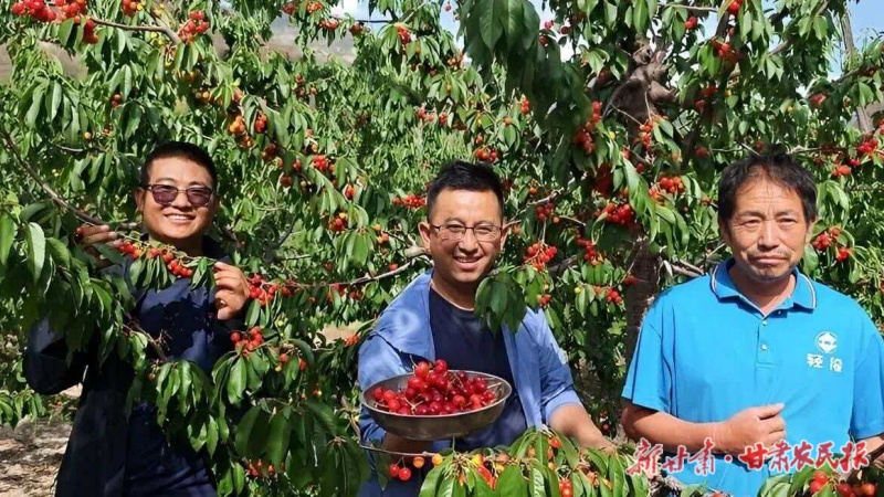 党组织+人才+产业1 (7)