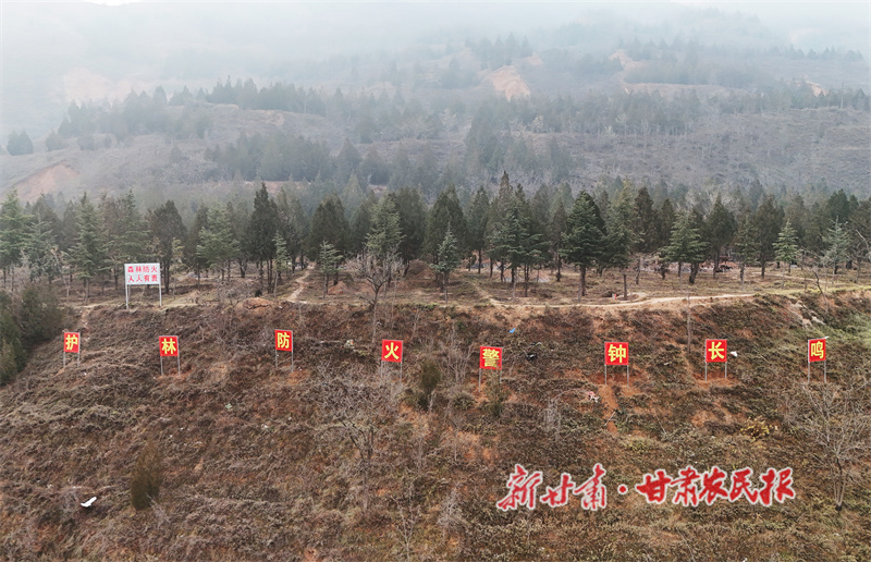 1765781208674688.jpg 1765504499352070995.jpg