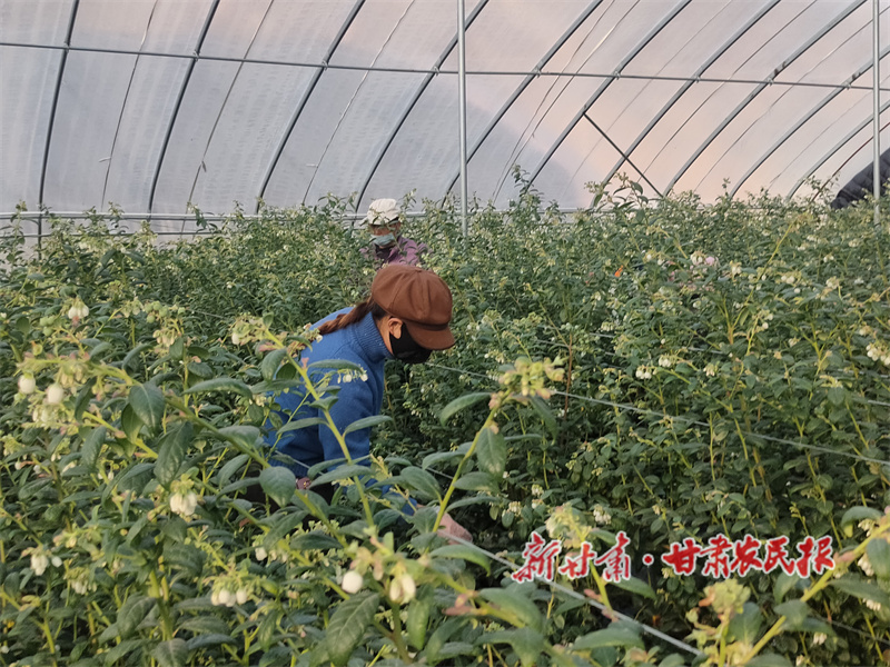 1765781791205204.jpg 1765505247292013595.jpg