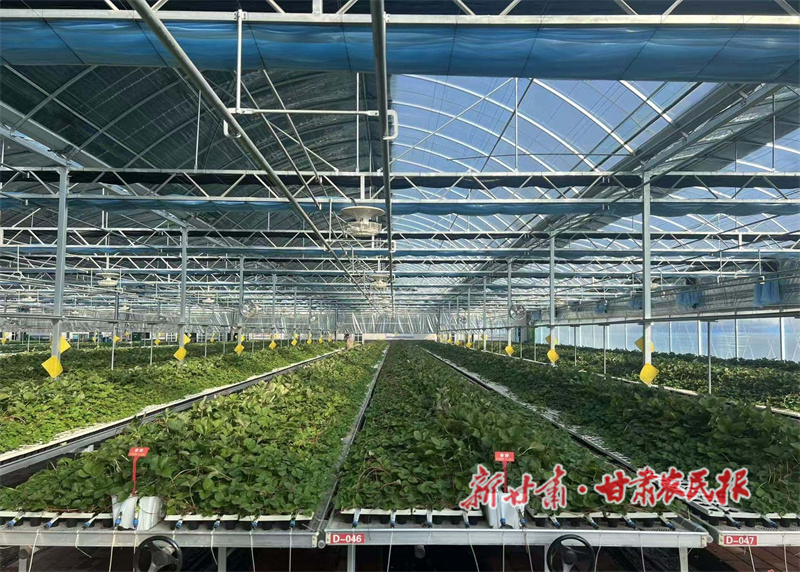 1765782064764886.jpg 1765505477852052505.jpg