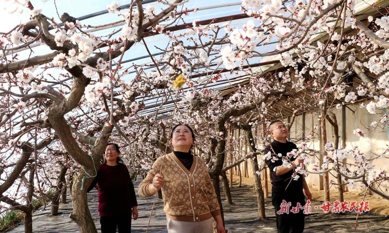 1768270695708041.jpg 微信图片_20260112091146_112_151.jpg