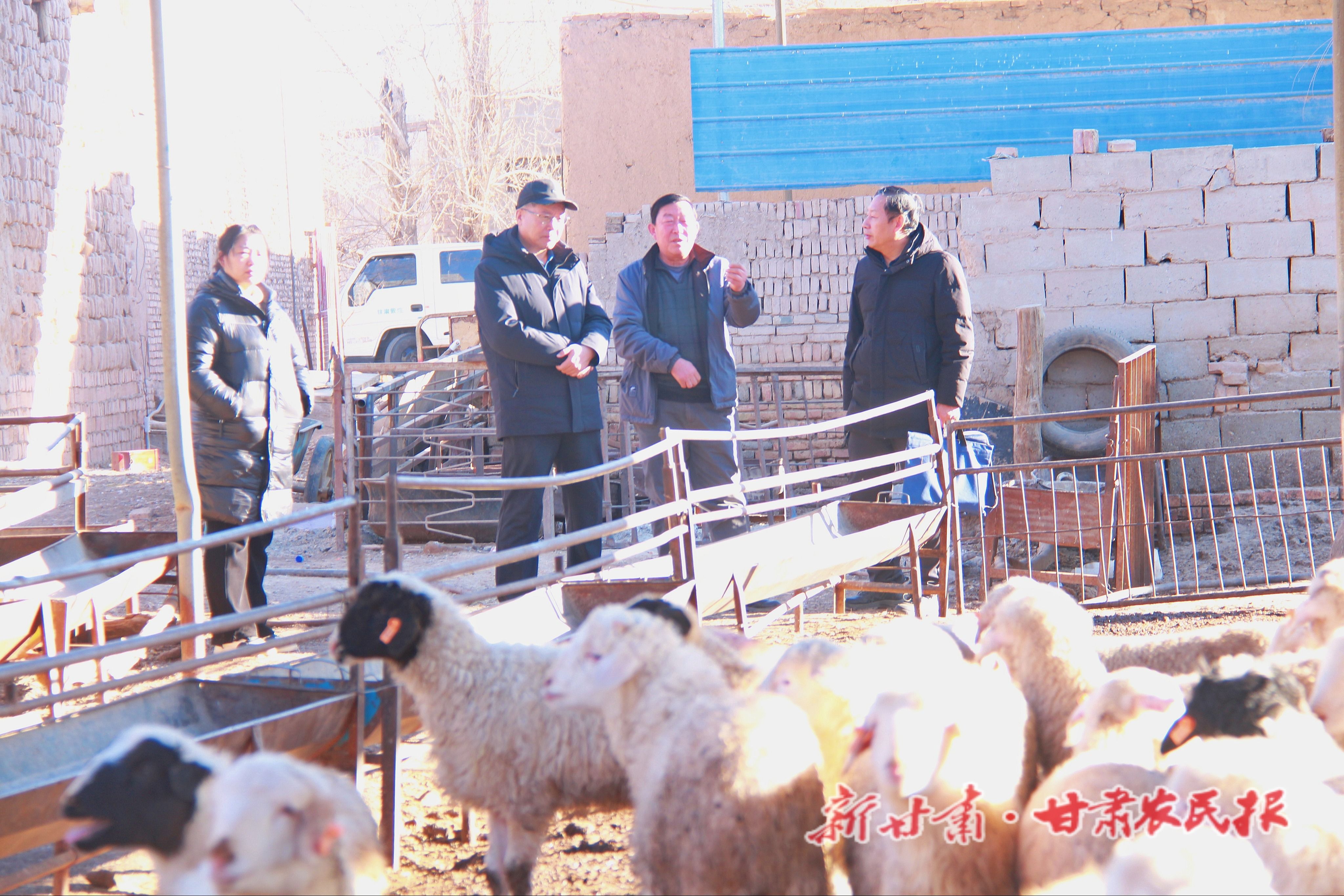 张宝玉在他的养殖场