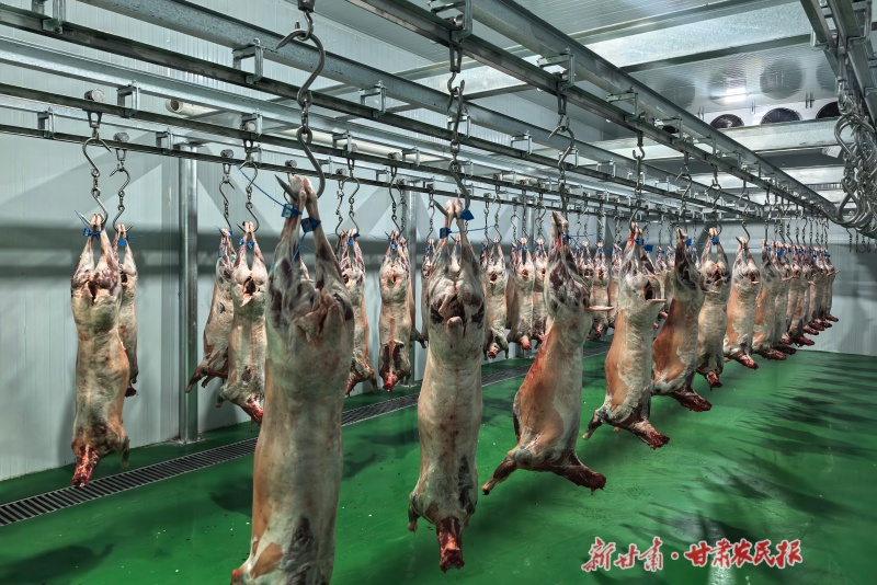 微信图片_20260206113227_222_124.jpg