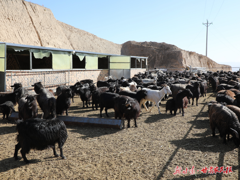 1772071389255673.png 微信图片_20260225152454_234_124.png