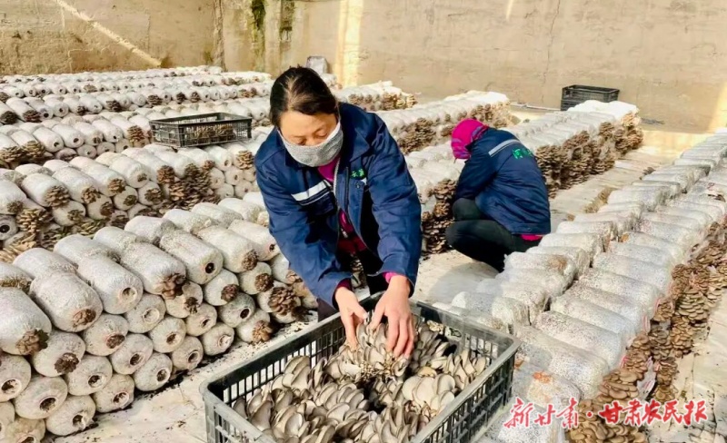 e42fa36cabd5901a842a86f6239befc3