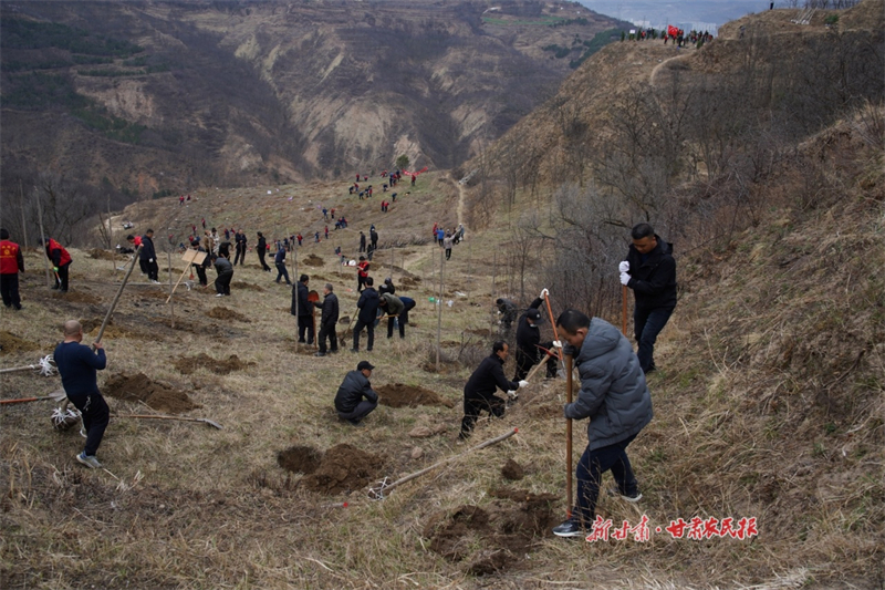 1773711504368260.jpg 1773653762834010007.jpg