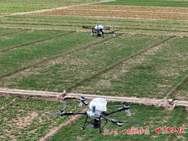 1773886776921320.jpg 微信图片_20260318163208_218_102.jpg