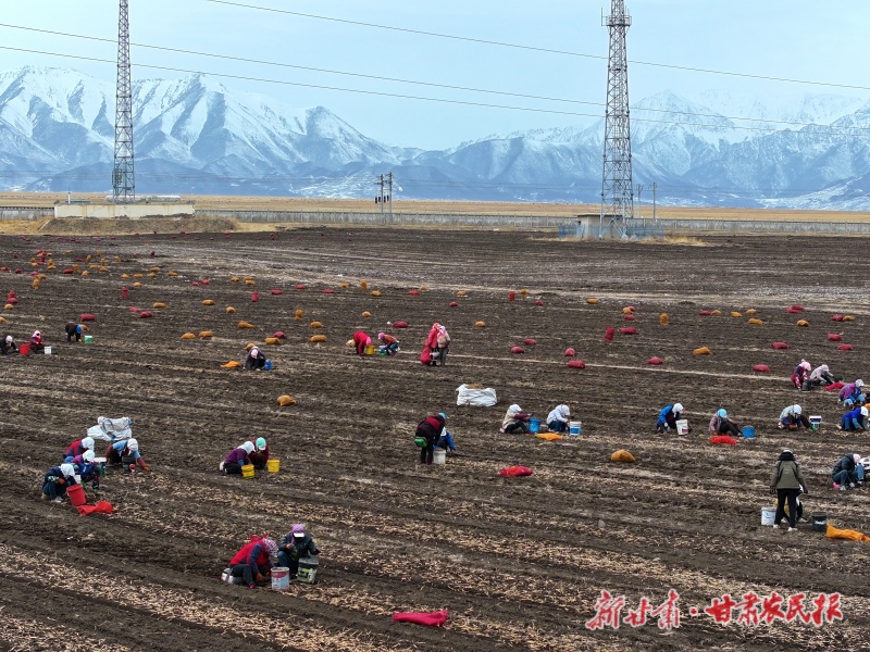 微信图片_20260417145558_154_151.jpg