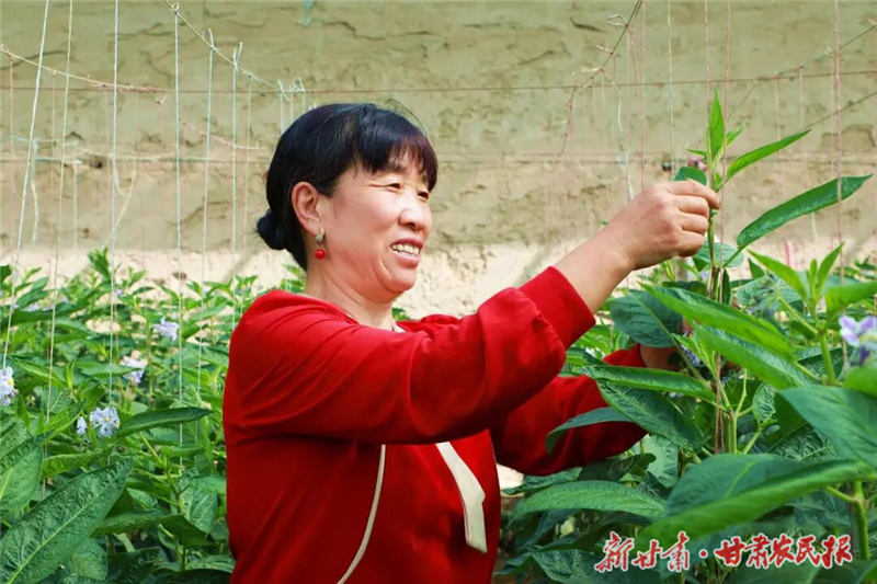 张玉梅1