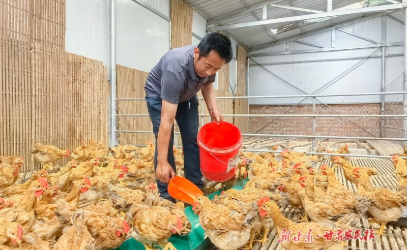 微信图片_20260610173732_333_28.jpg