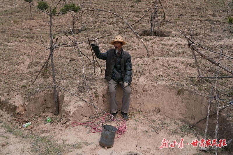 植树老人4