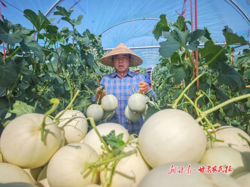 微信图片_20260703170836_315_176.jpg