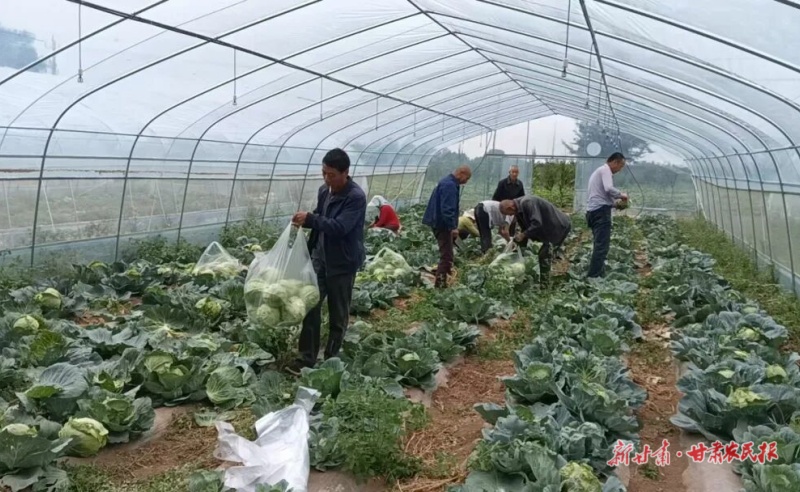 微信图片_20260805152921_22_97.jpg