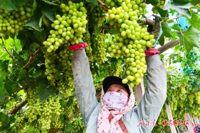 微信图片_20260918112107_35_97.jpg