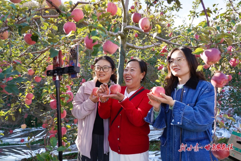 微信图片_20261028150820_32_375.jpg