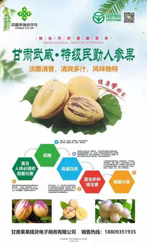 甘肃武威&middot;特级民勤人参果