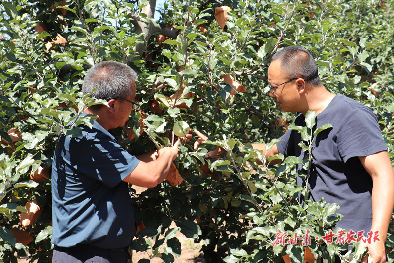 郭智勇:择一果 &ldquo;种&rdquo;一生