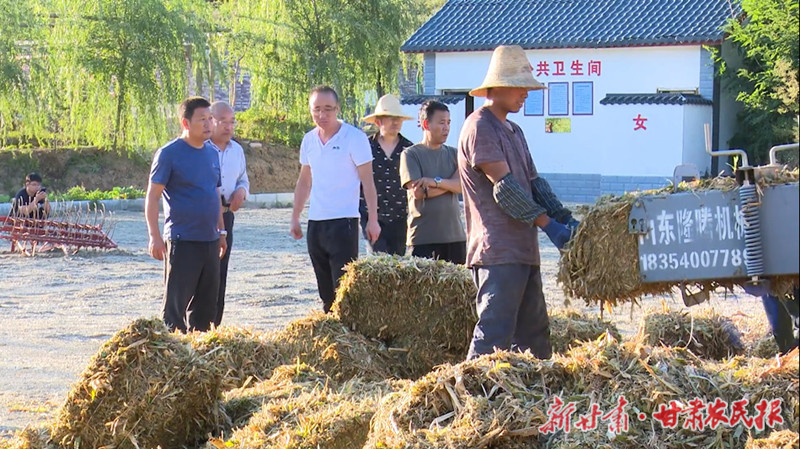 秦州区：科普大使指导忙 牛羊饲料贮满仓