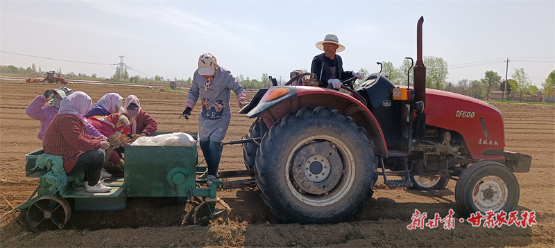 巩平：种下中药材 开出“富民方”