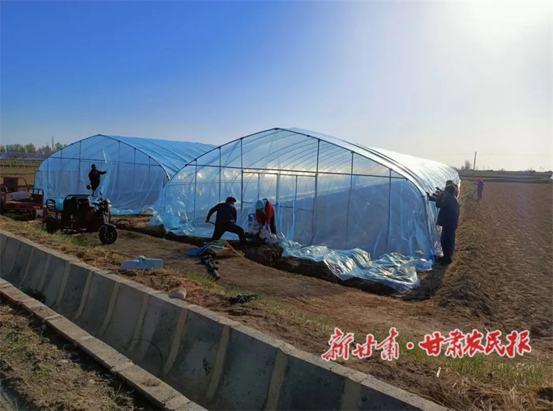 肃州：做实产业“文章” 助力乡村振兴