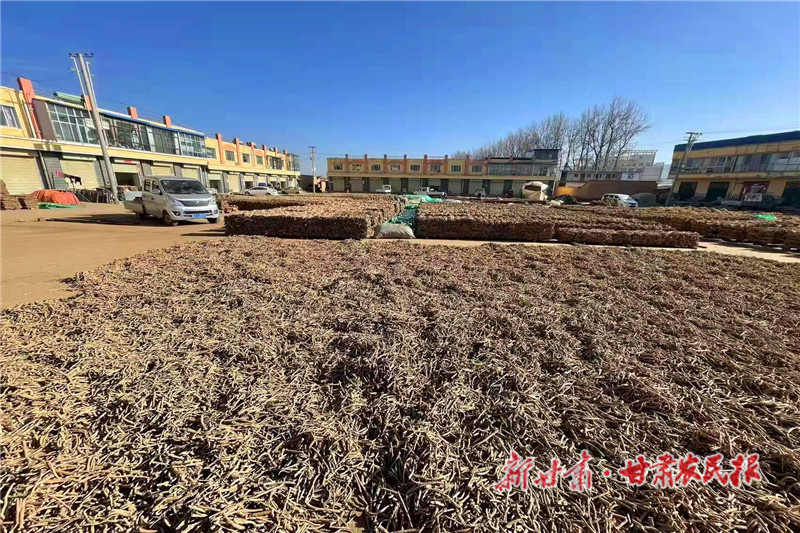 渭源：农机赋能 产业提质增效