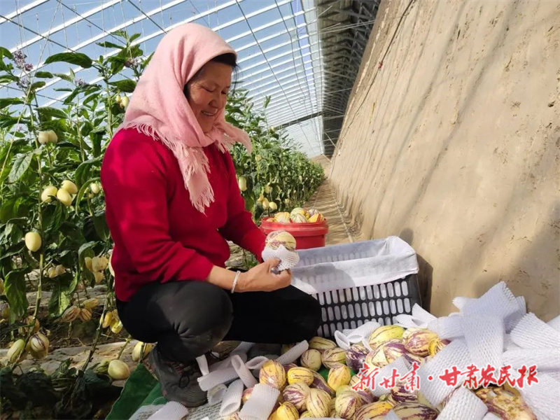 民勤：产业托起振兴梦