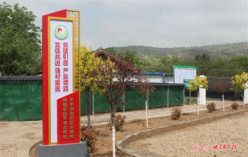 麦积区社棠镇俊林村：小产业撑起“致富伞”