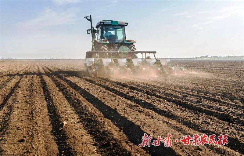 肃州：“撂荒地”变身“聚宝盆”